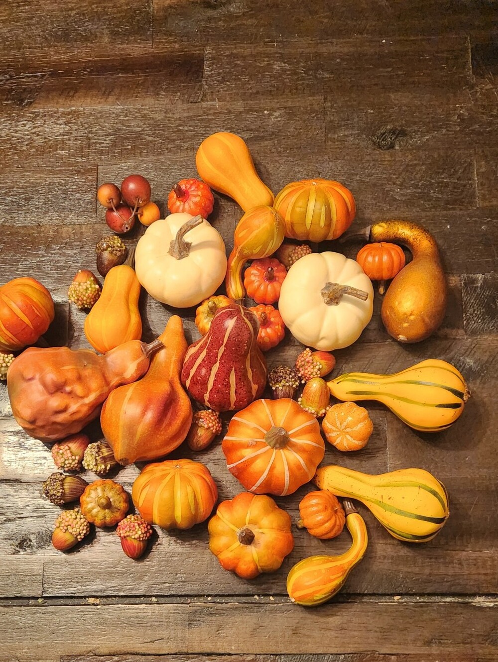 Autumn Decorative Gourd and Mini Pumpkin Assortment - Orange & Cream -
